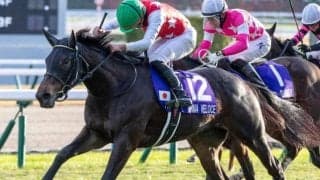 【桜花賞想定馬・騎手】アルマヴェローチェ、エンブロイダリーなど19頭