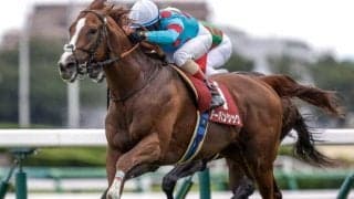 【日経賞予想】勝負所での位置取りが勝負の分かれ目！ 実績最上位の人気馬に立ちはだかる壁とは