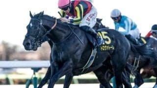 【ダービー卿CT想定馬・騎手】トロヴァトーレ、アサカラキングなど14頭