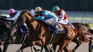 日経賞は同じ中山芝2500mの有馬記念組が優勢？ 今年は2頭が出走