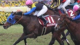 土曜中山は雨予報あり 日経賞では道悪巧者の7歳実績馬に注目