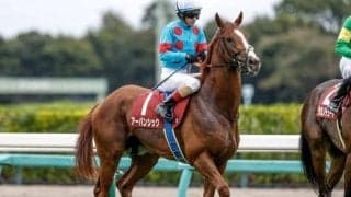 【今日の注目ポイント】中山の日経賞に菊花賞馬アーバンシックが登場