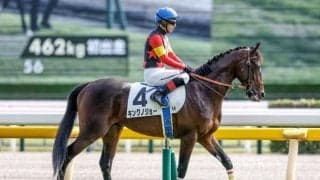 【毎日杯予想】春のクラシックに向かう3歳馬にとってラストチャンス 器用さよりも総合力、決め手勝負に