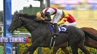 【競馬予想】高松宮記念は強力６歳勢が中心も、馬場回復で浮上するスプリント王の逆襲に期待