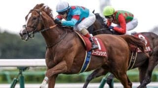 日経賞当日の中山は雨降り続く アーバンシックは道悪がどうでるか