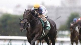 【高松宮記念予想】春の短距離王決定戦は牡馬やセン馬が中心!? 牝馬は年齢や実績に注意が必要