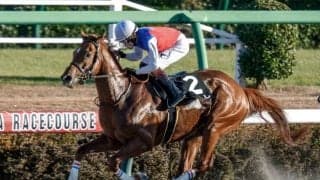 【マーチS予想】高期待値は先行馬で追込馬は苦戦傾向 ハンデ戦らしく人気薄の台頭も目立つダート重賞