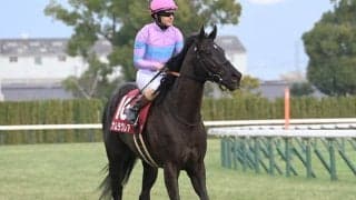 【今日の注目ポイント】高松宮記念でナムラクレアが悲願のGI勝利を狙う