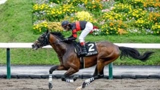 【マーチS予想】1番人気＆トップハンデが不振 混戦模様のダート重賞