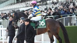 【競馬予想】高松宮記念は「とにかく荒れる」　勢いある伏兵２頭が人気の既成勢力を一蹴する！