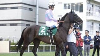 【高松宮記念予想】荒れ傾向を抜け出す要素とは？ 過去データから探るGI高松宮記念