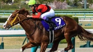 大阪杯覇者ジャックドールの全妹 日曜阪神5RでデビューVなるか