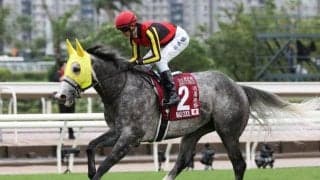 中京芝はほぼフラット 高松宮記念は先行馬不在でロスなく運べる馬が狙い