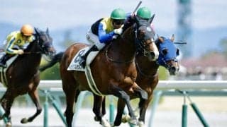 【中京6R】遅咲き良血馬がデビュー2連勝…1年8ヶ月ぶりインビジブルセルフがV