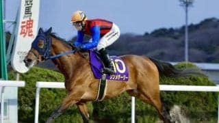 【佐賀・はがくれ大賞典結果】シンメデージーが断然人気に応えて完勝 重賞5勝目