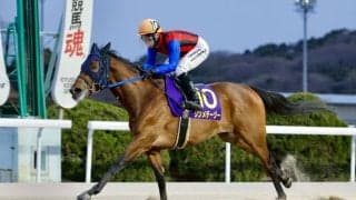 【佐賀・はがくれ大賞典】高知シンメデージーが重賞5勝目