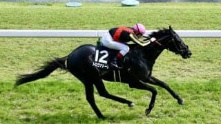 【ダービー卿CT登録馬】トロヴァトーレなど14頭