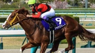 武豊騎手の素晴らしいエスコート ジャックドール唯一のGI制覇