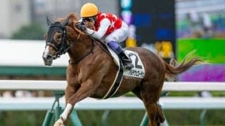 【チャーチルダウンズC見どころ】完成度が高いアルテヴェローチェが主役