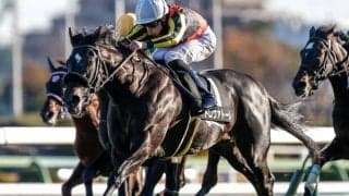 【ダービー卿CT見どころ】安定感光るトロヴァトーレが重賞初制覇を狙う