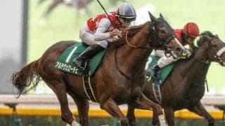 【チャーチルダウンズC想定騎手】アルテヴェローチェは佐々木大輔騎手、ランスオブカオスは吉村誠之助騎手