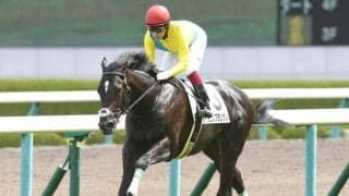 【25年の新種牡馬たち】フランケル×ウオッカの良血馬タニノフランケル 産駒にはダイワスカーレットの血を引く馬も