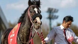 【マーチS】売上は37億433万1200円で昨年より約8億円増加