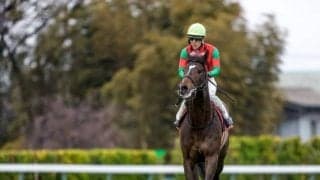 【日経賞】売上は44億5018万5100円で昨年より約11億円増加