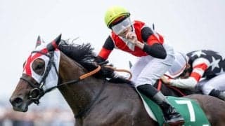 【先週のJRA抹消馬】重賞2勝のドゥーラ、21年レパードS覇者メイショウムラクモなど
