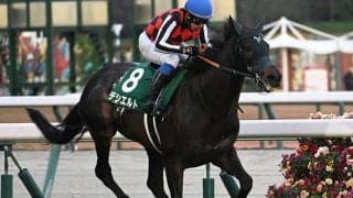史上最高額のGI馬誕生なるか 大阪杯に2.5億馬が参戦