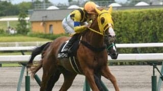 【AI予想・大阪杯】前走の人気に明確な傾向あり！ 人工知能は実績豊富な3頭を高評価