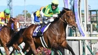 ロードカナロア産駒3頭目の高松宮記念V サトノレーヴの配合の優秀さとは