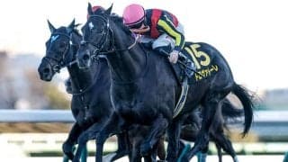 【ダービー卿CT想定騎手】トロヴァトーレはJ.モレイラ騎手、ロジリオンは松山弘平騎手