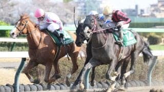 【マーチS】岩田望「馬の成長に感謝」ブライアンセンスが重賞初制覇