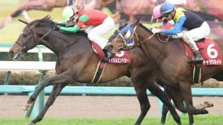 【日経賞】マイネルエンペラーが重賞初制覇…アーバンシックは3着まで