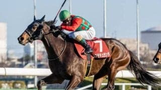 父アルアインの名を高める“歴史的1勝”へ 大阪杯で人馬共にGI初制覇なるか