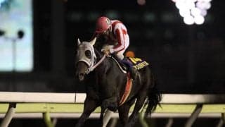 的場文男騎手がJpnI・2勝の“相棒”を振り返る 「的場騎手ベストレースファン投票」の結果発表
