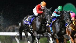 【園田・兵庫女王盃枠順】重賞3勝馬アーテルアストレアは1枠1番