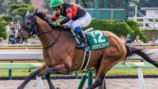 「ホウオウ軍団」がGI初制覇狙う 大阪杯で20回目の挑戦