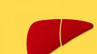 B型・C型肝炎とは？