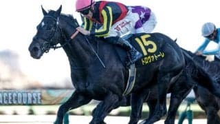 【ダービー卿CT予想オッズ】トロヴァトーレが予想1番人気