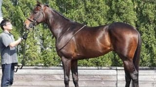 「惚れ惚れする立体感を誇る馬体写真」 日経新春杯覇者が一気に大阪杯でGI獲りへ