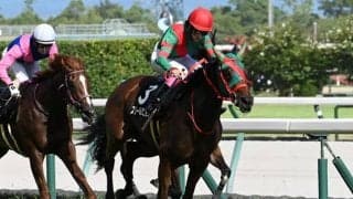 【チャーチルダウンズC展望】前走GI組が圧倒的でスリールミニョンが中心