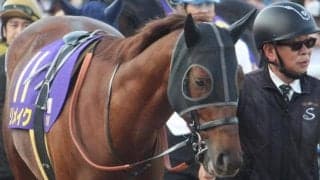 3度目の正直狙うリメイク 史上初の日本馬ドバイGS制覇なるか