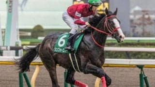 「ウマ娘」藤田晋オーナーがUAEダービー連覇へ サウジダービー2着馬で挑戦