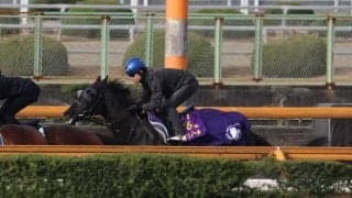 クロワデュノール、皐月賞2週前追い切り速報/栗東トレセンニュース