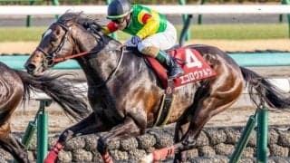 「エコロ」のGI初制覇なるか 大阪杯に中山記念2着の実力馬参戦