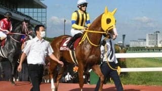 【大阪杯予想】AIは人気を落としそうな1頭をチョイス 予想のポイントは「枠」にあり？