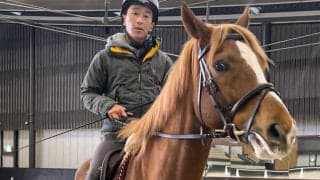 ヴェローチェオロは「やんちゃだけど自分を持っている」 JRA馬事公苑で送る“第二の馬生”とは