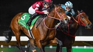 【ドバイWC枠順】サウジCを制したフォーエバーヤングは5番ゲート、アルマクトゥームチャレンジ覇者ウォークオブスターズは1番ゲート